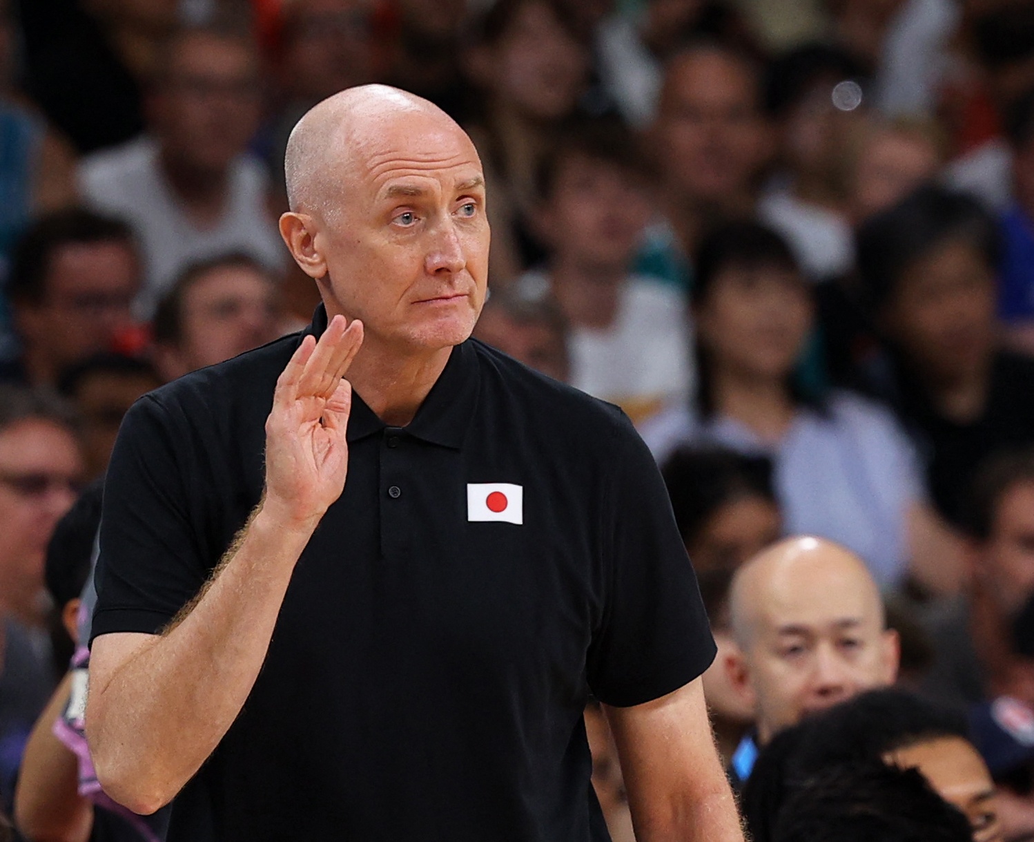 开云体育官网-姚明前队友郑志龙：姚明曾有意日本主帅霍瓦斯 高层想要本土教练